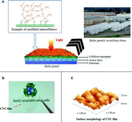  Nanocellulose: Vật Liệu Siêu Nhỏ, Tác Dụng Siêu Lớn Trong Sản Xuất & Công Nghệ Cao!