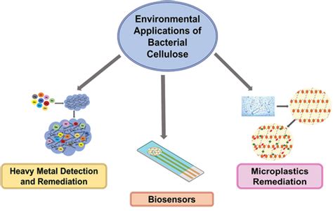 Virocell: A Revolution in Sustainable Biomaterial Production for Medical and Environmental Applications?